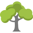 Alpharetta Tree Removal Service